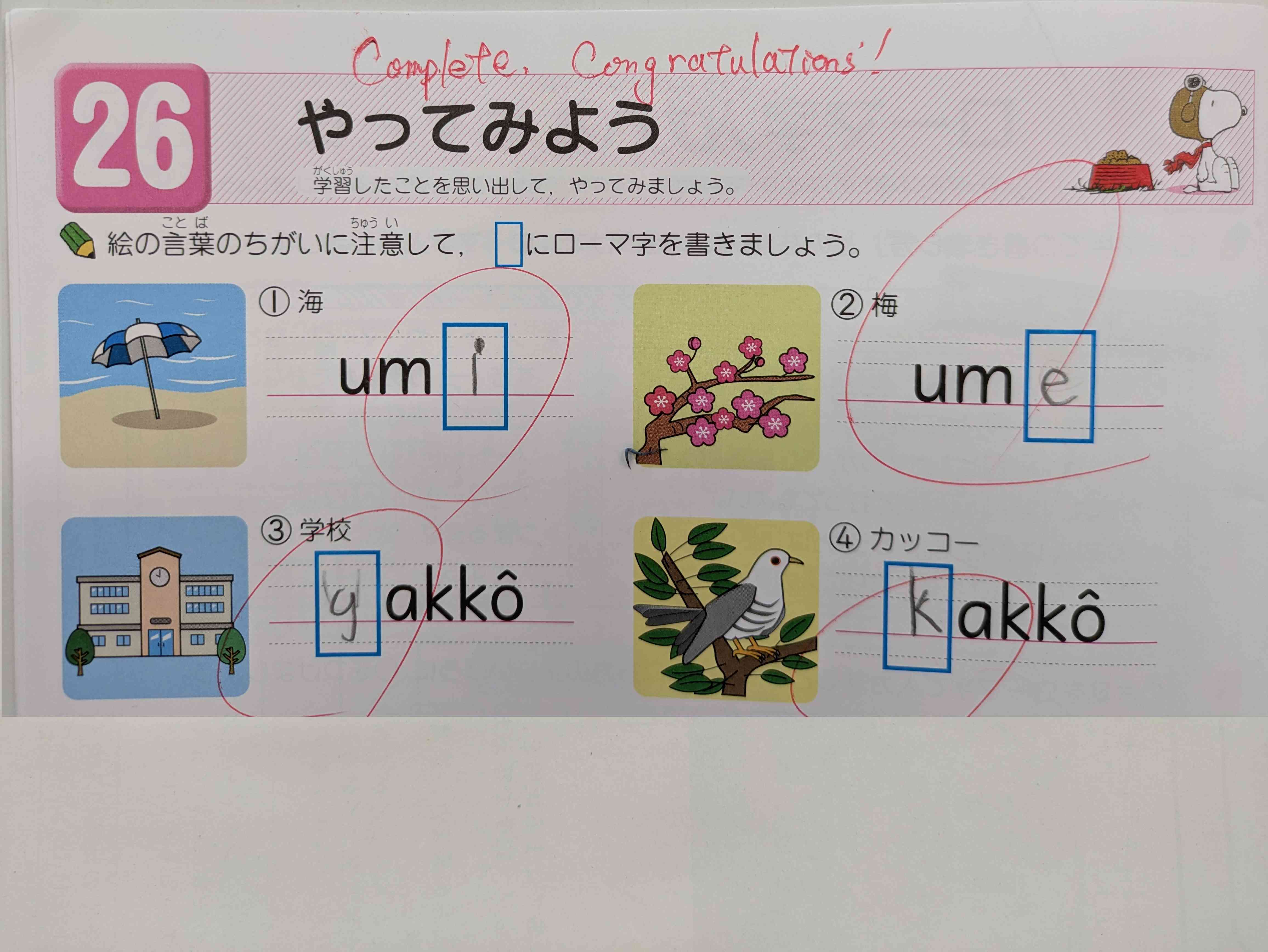 使用したローマ字教材