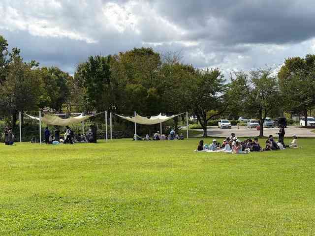 image3