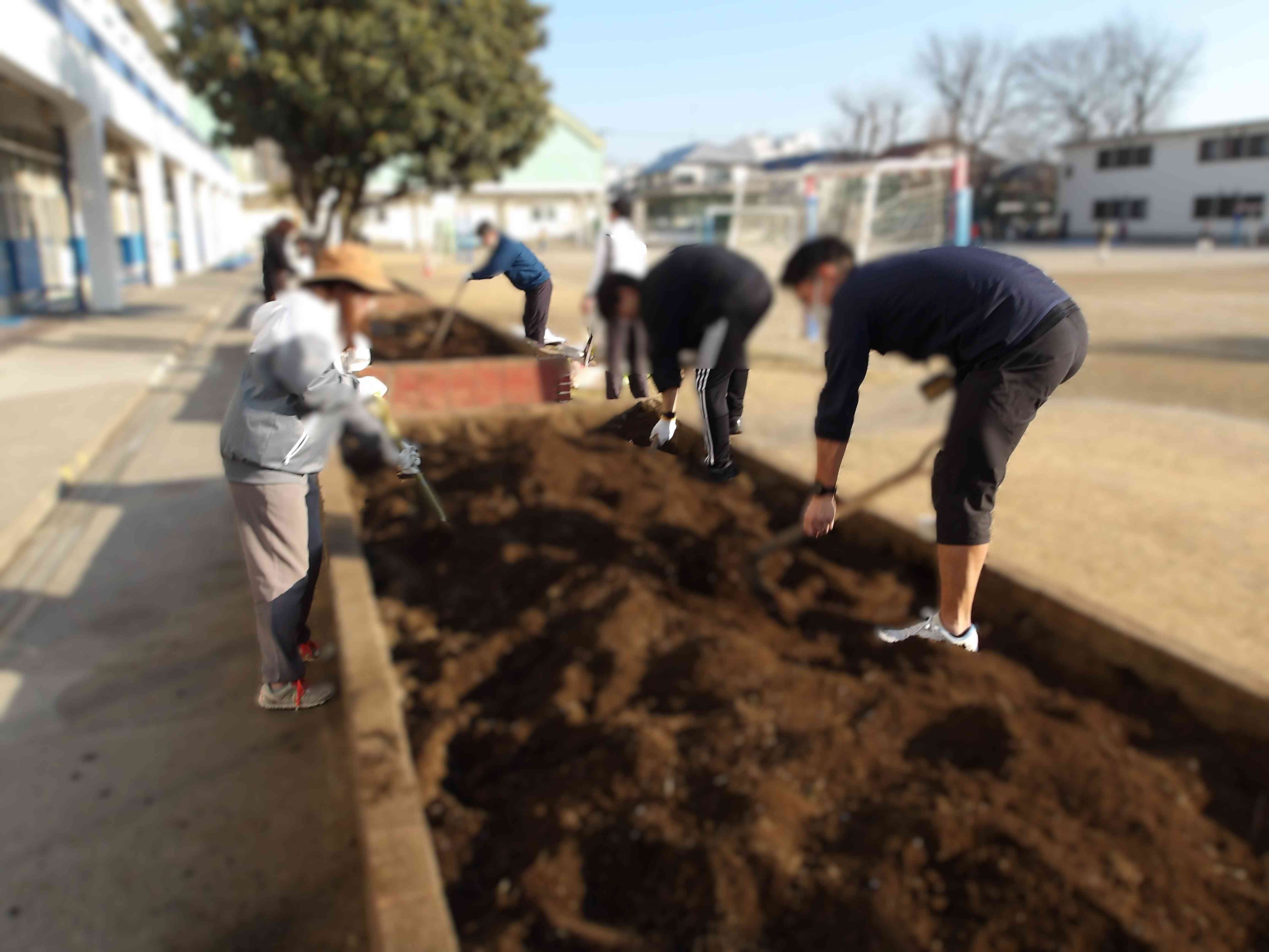 2.13 学級園整備①