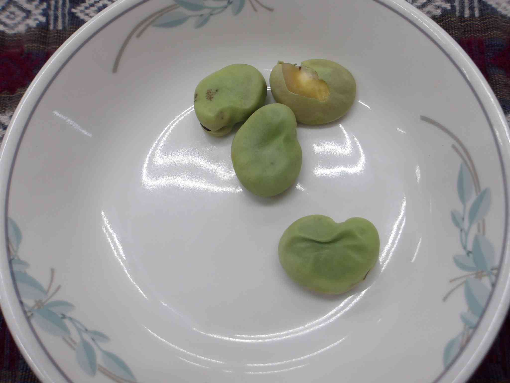 04.23給食①