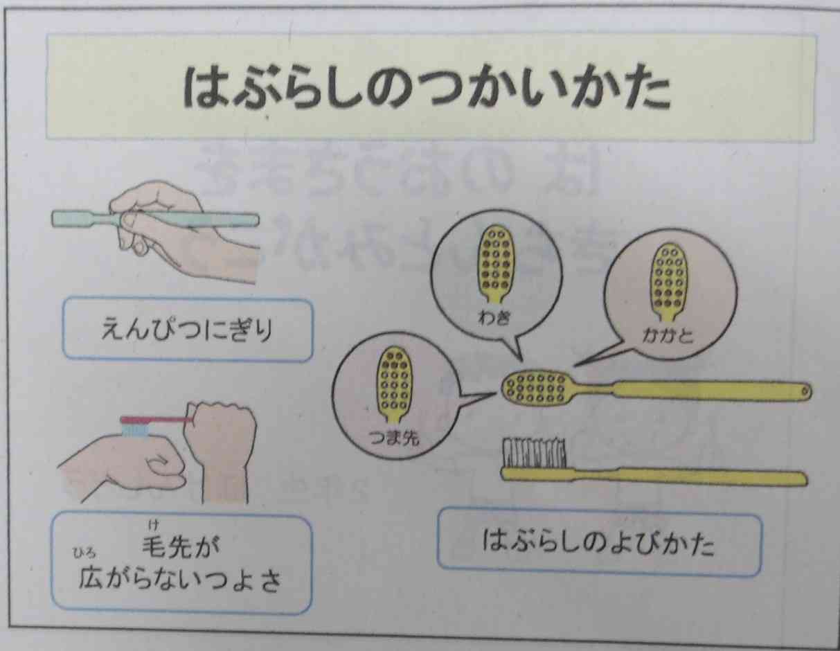 歯磨き①