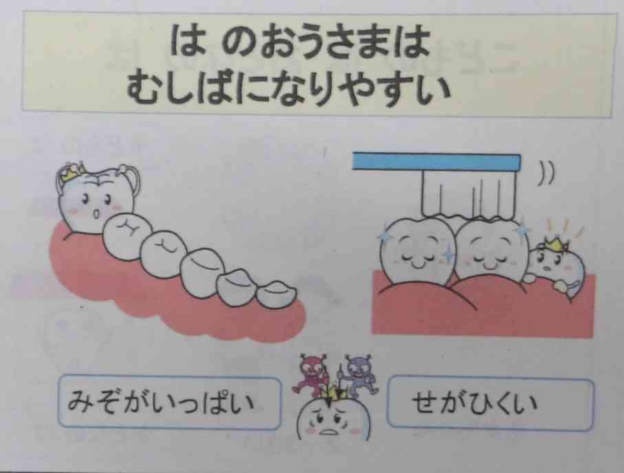 歯磨き②